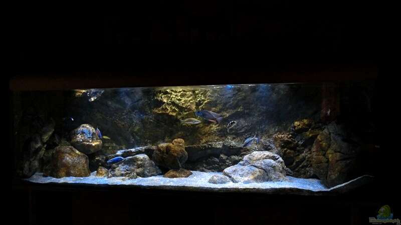 Das Becken in der frontalen, beleuchtet mit der SunaEco Tropic 500 und den Reef White von marxbre (18)