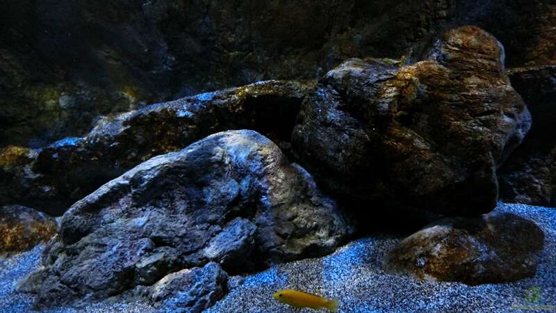 Dekoration im Aquarium Rockzolid Cave (Aufgelöst) von marxbre (29)