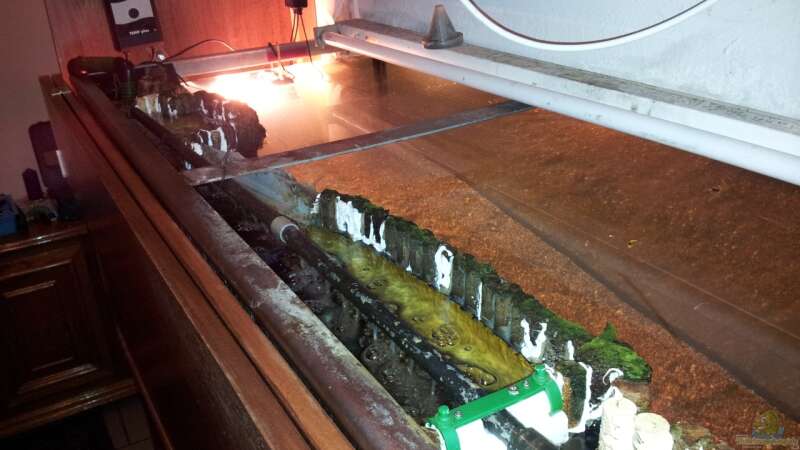 Das Wasser aus dem filter wird über die komplette Länge der Biokammer eingeperlt von Steven Schneider (10)