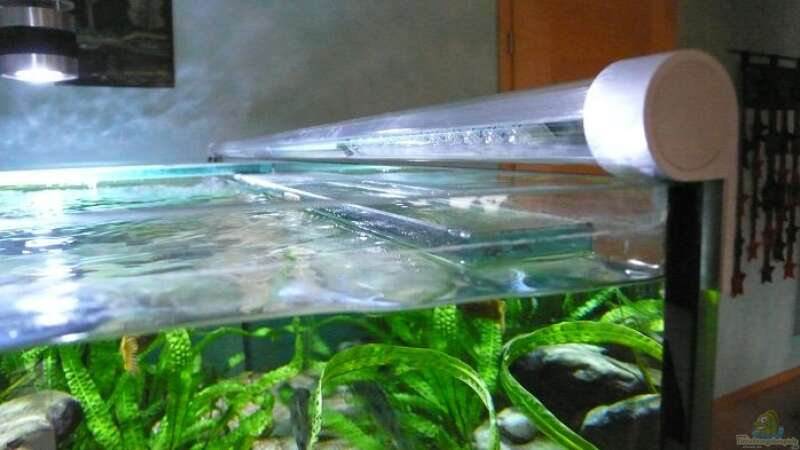 LED Leisten in Plexiglasrohr von aquabert (22)