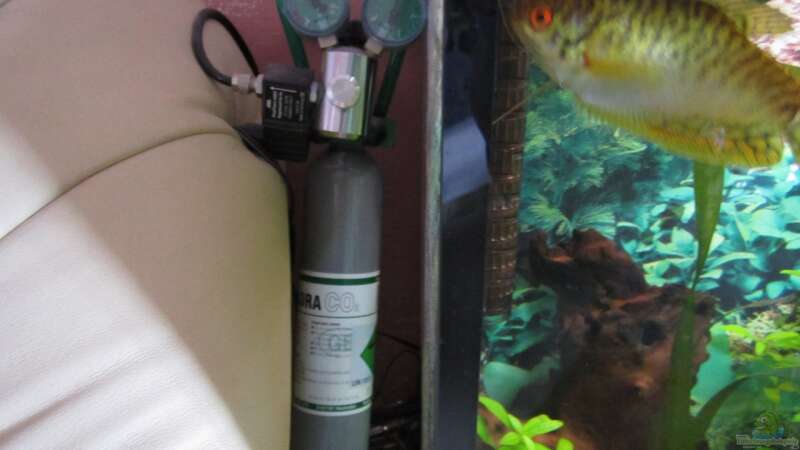 Technik im Aquarium green Lounge (aufgelöst, nur noch als Beispiel) von Malawi-Dude (6)