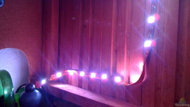 RGB LED Leiste von Antonio Di Simone (12)