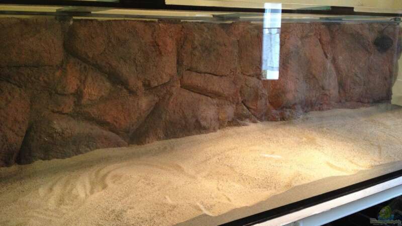 Becken mit Sandgrund und DIY Rückwand von Spongee der Schwamm (4)