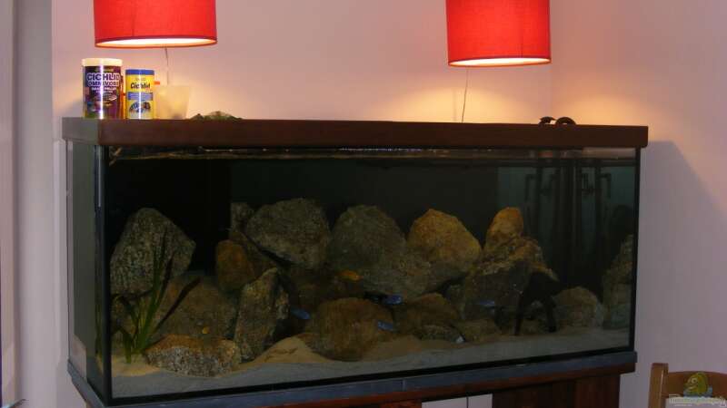 Aquarium Hauptansicht von Miks Malawi Rocks von Mik (1)