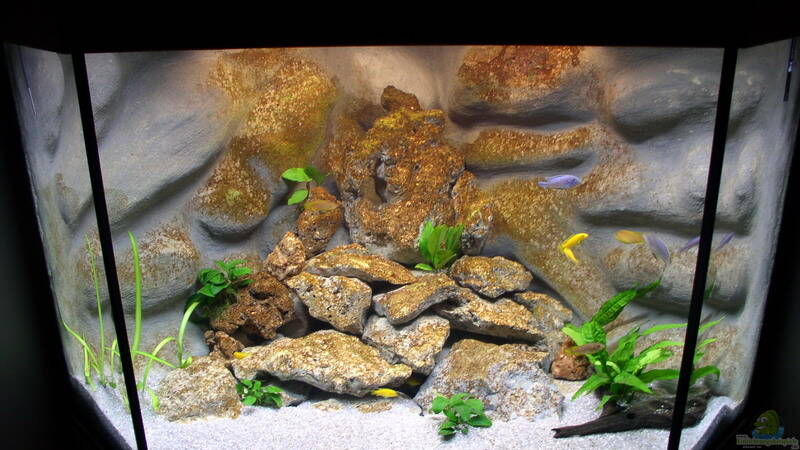 Frontansicht nach 3 Wochen von Jochen Steger (2)