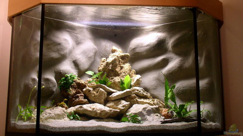 Frontansicht nach Einrichtung von Jochen Steger (1) Frontansicht nach Einrichtung von Jochen Steger (1)