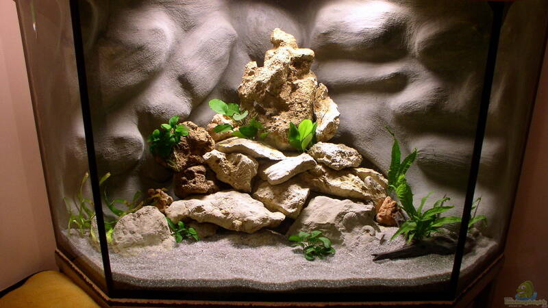 kurz nach Neueinrichtung von Jochen Steger (4) kurz nach Neueinrichtung von Jochen Steger (4)