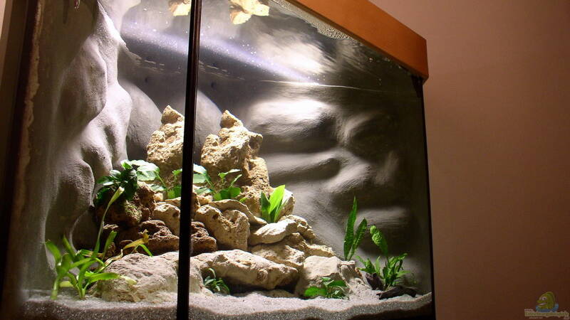 kurz nach Neueinrichtung von Jochen Steger (5) kurz nach Neueinrichtung von Jochen Steger (5)