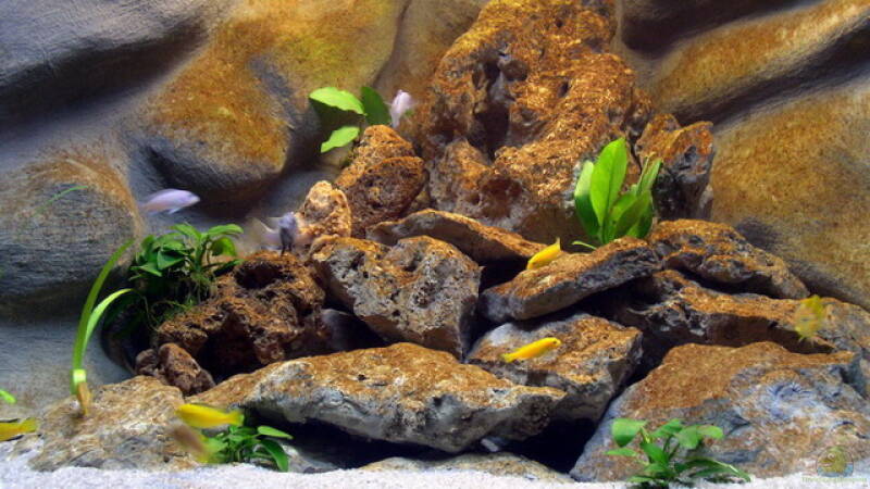 nach 3 Wochen von Jochen Steger (3) nach 3 Wochen von Jochen Steger (3)