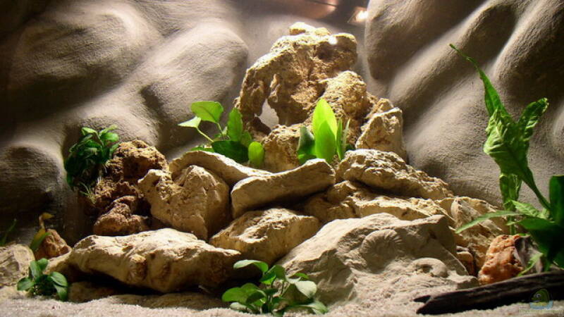 Steinaufbauten Frontansicht von Jochen Steger (8)