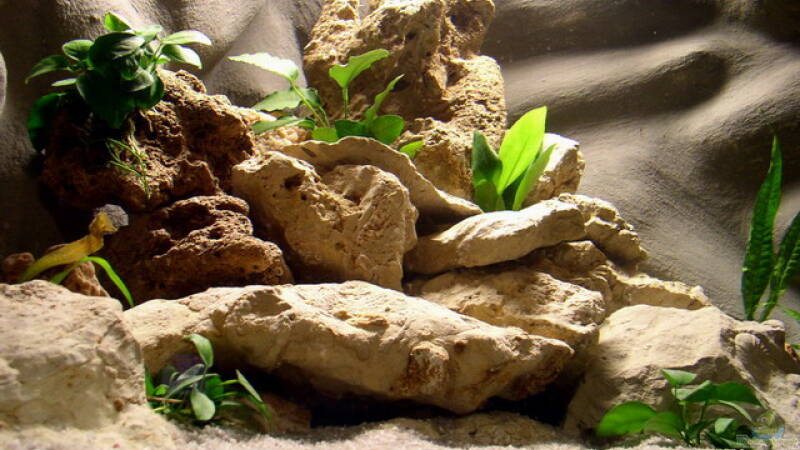 Steinaufbauten von links von Jochen Steger (9) Steinaufbauten von links von Jochen Steger (9)