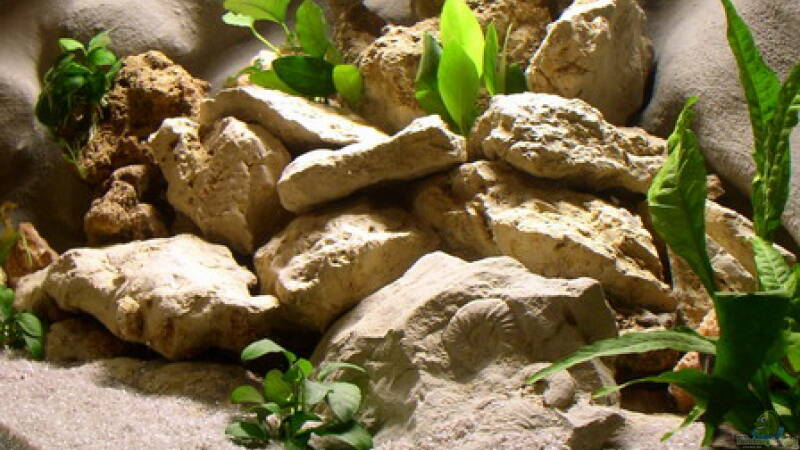 Steinaufbauten von rechts von Jochen Steger (10)