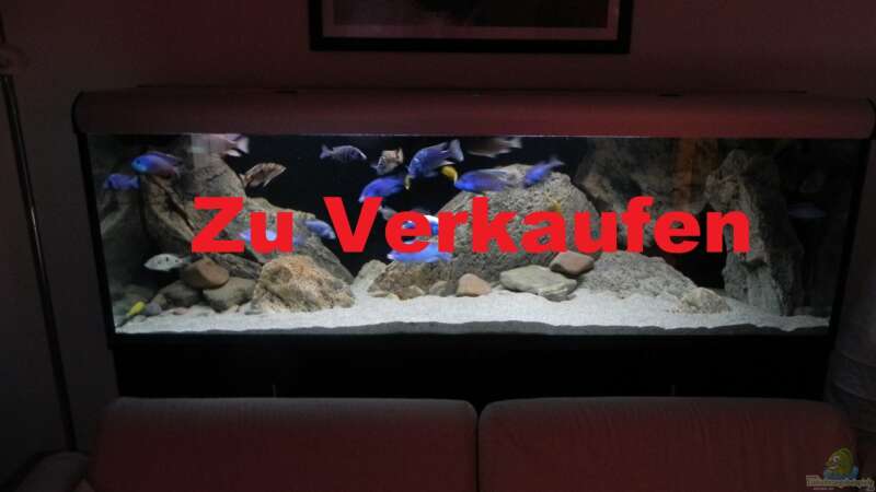 Aquarium Hauptansicht von ZU VERKAUFEN OPEN FREE TERRITORY von Sternenseeträumer (1)