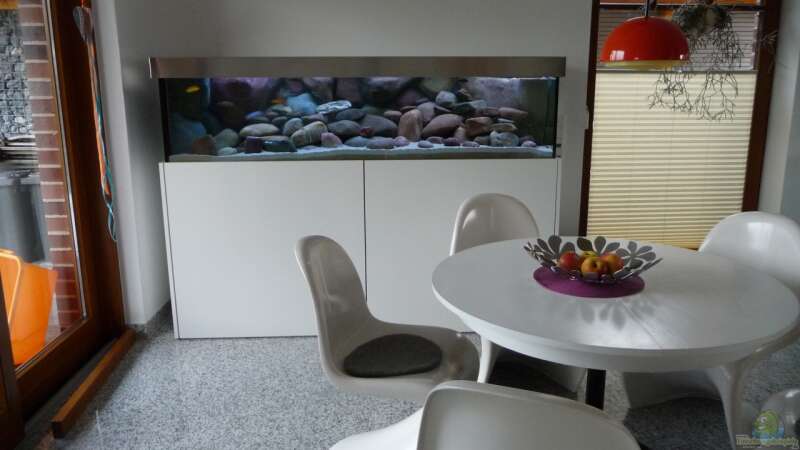 Aquarium im Esszimmer von simako (5)