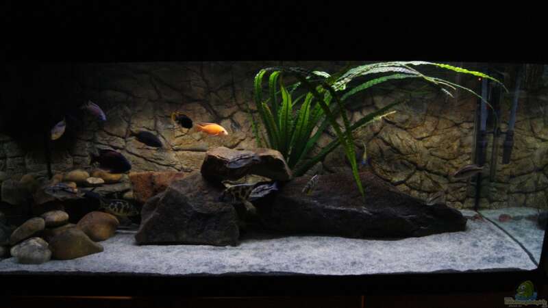 Aquarien mit LED-Beleuchtung  - Led-beleuchtungaquarium