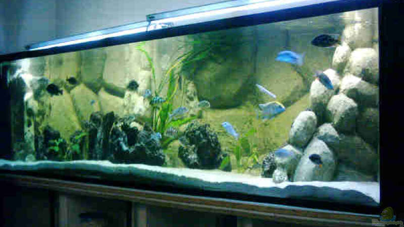 Aquarium Hauptansicht von Becken 2287