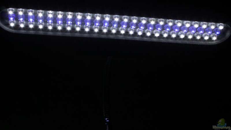 die LED-Leuchte von Falk (3)