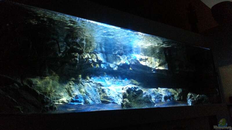 Aquarium Becken 22990 STEHT ZUM VERKAUF !!! von ~MISCHA WILKEN~ (7)