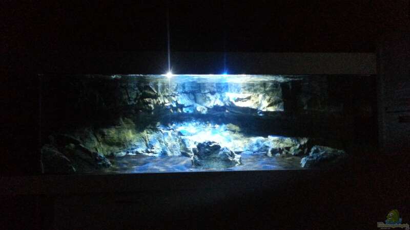 Aquarium Becken 22990 STEHT ZUM VERKAUF !!! von ~MISCHA WILKEN~ (8)