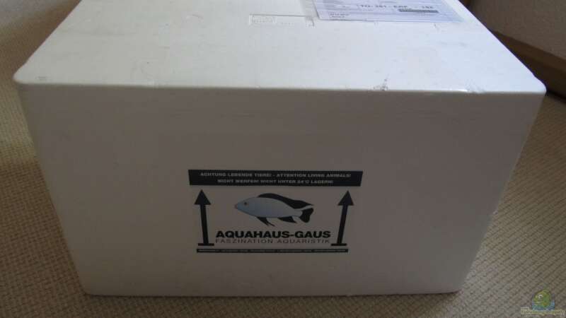 05.06.12 es ist so weit Aquahaus Gaus hat geliefert von aquamika (22)