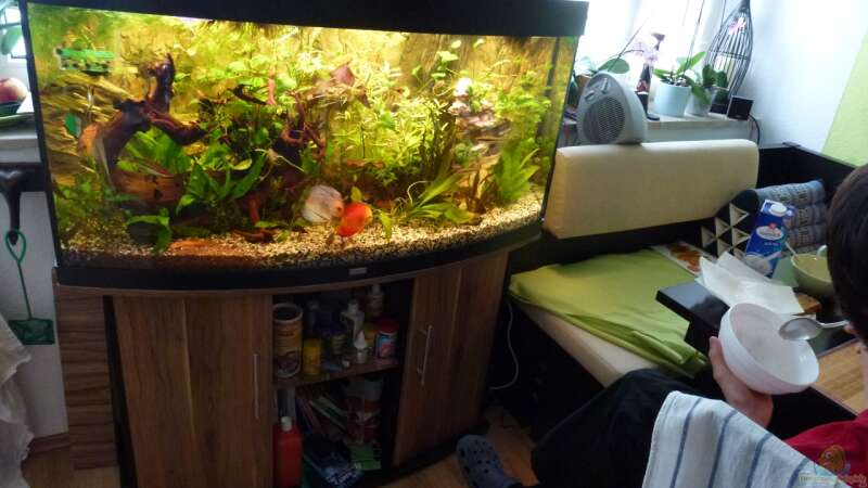 Aquarium anstatt TV in der Wohnküche von gbroker (2)