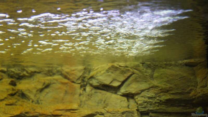 Wasserstrom in meinem Aquarium von Richy (7)