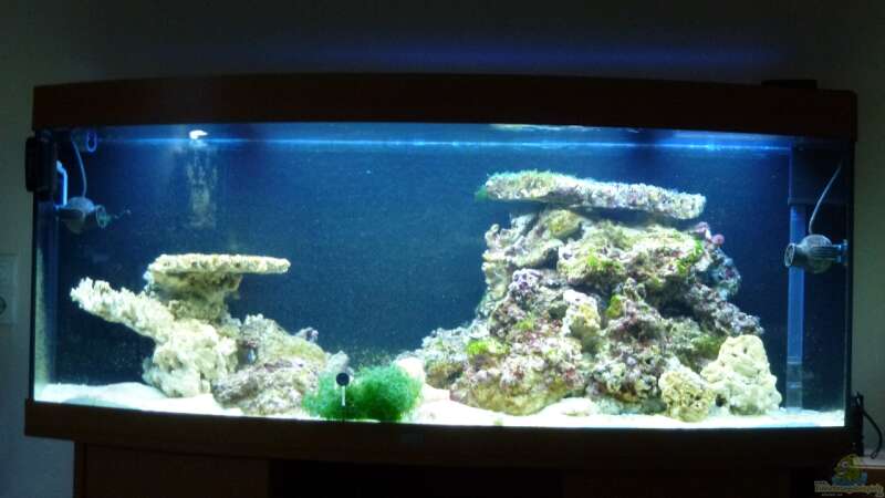 Aquarium Hauptansicht von Wohnzimmer Riff von Silverlight (1)