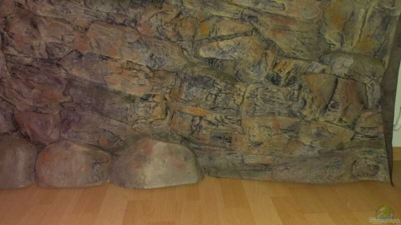 3D Rückwand Rock tiefe bis 14cm von Sascha Vienerius (6)