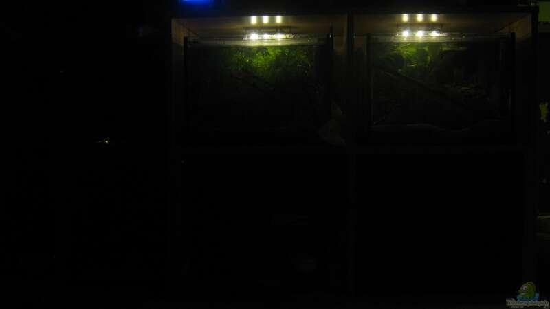 Nachtlichtbeleuchtung. Rechts oben ist das A. Borelli Aquarium (lange Belichtungszeut von chrisi01 (4)