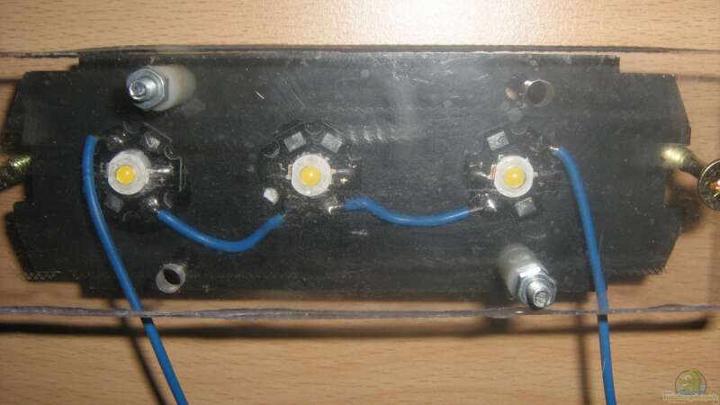 Die LEDs am Kühlkörper in Nahaufnahme von chrisi01 (18)
