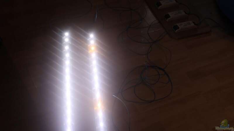 2 von 3 LED Balken von chrisi01 (24)