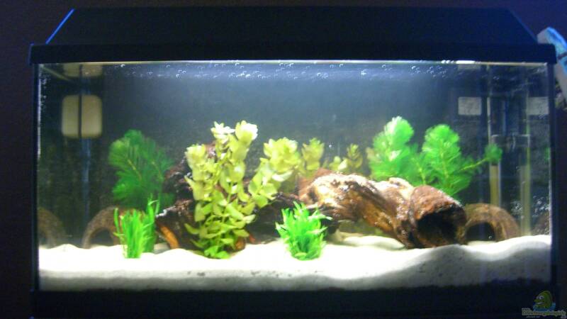 04.08.2012 von ehemaliger User (1)