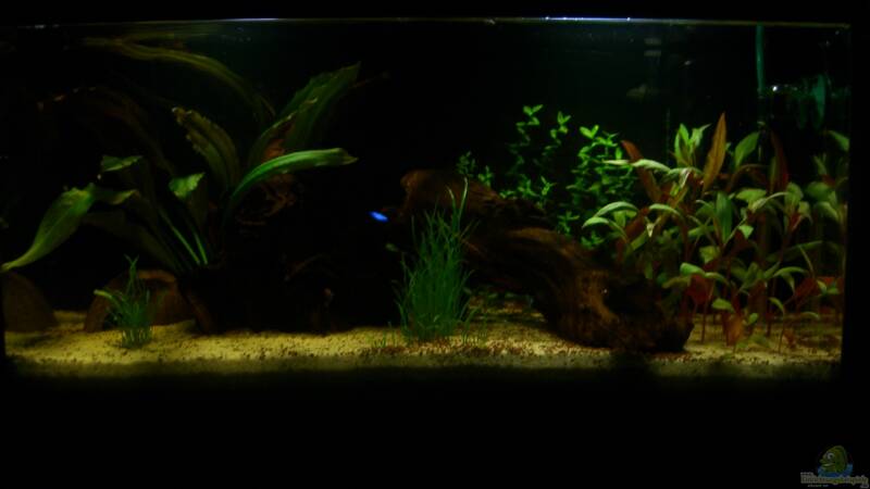 09.04.2013 von ehemaliger User (4)