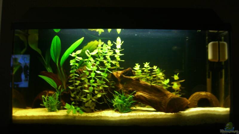 10.09.2012 von ehemaliger User (2)