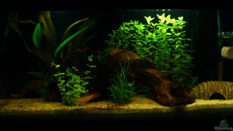 12.11.2012 von ehemaliger User (3)