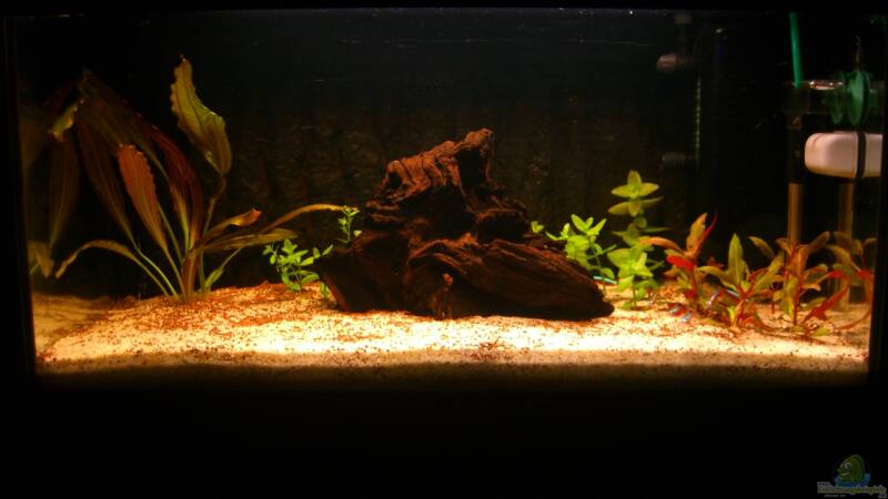 17.06.2013 von ehemaliger User (5)