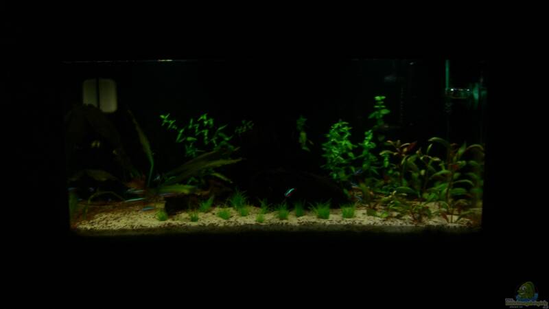 27.08.2013 von ehemaliger User (13)