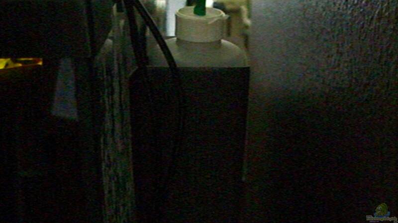 Bio Co2 Anlage an Beckenrückseite geklebt von ehemaliger User (32)