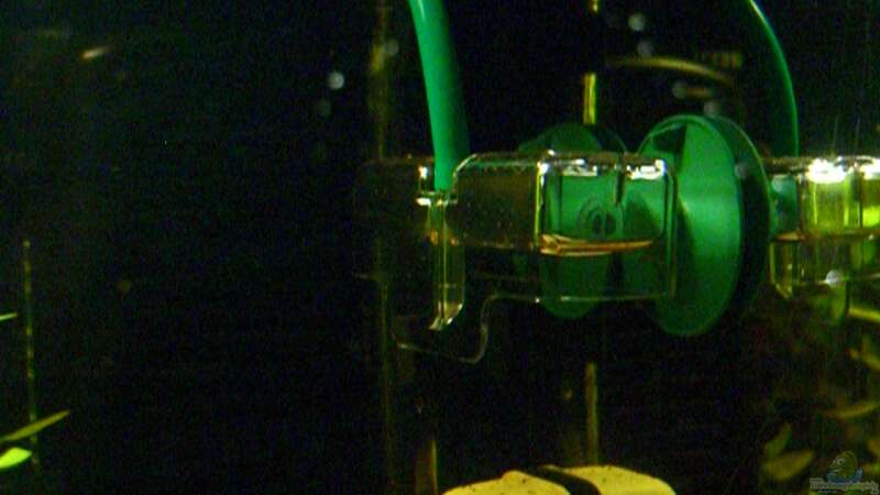 Co2 Diffusor von ehemaliger User (31) Co2 Diffusor von ehemaliger User (31)