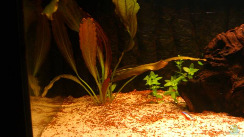 Linke Seite von ehemaliger User (6)