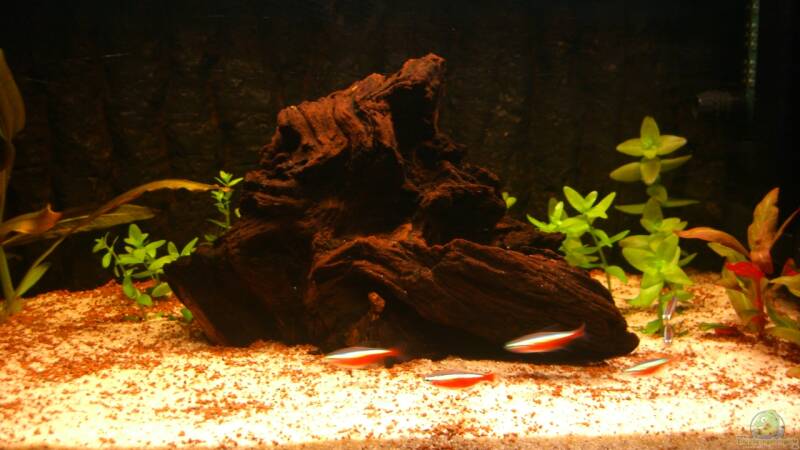 Mitte von ehemaliger User (7)