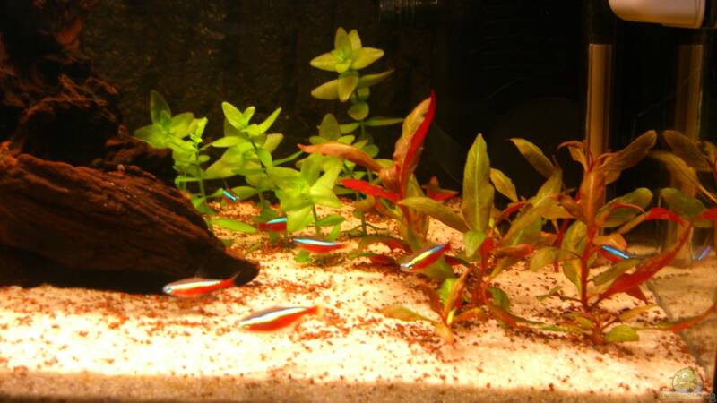 Rechte Seite von ehemaliger User (8)