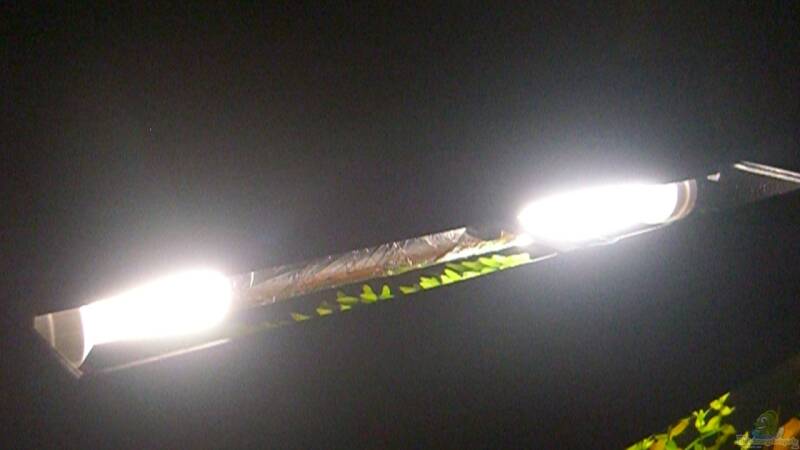 Verdunkelte Leuchtstoffröhre von ehemaliger User (30)