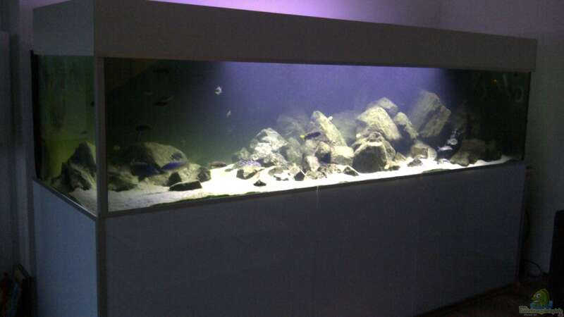 Aquarium Malawibiotop - 1.400 Liter von Cariba (2)