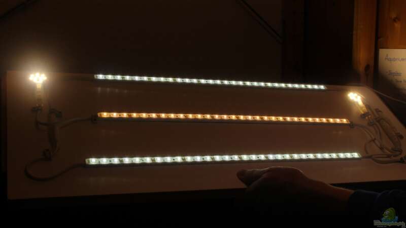 LED-Beleutung eingeschaltet (Foto mit extrem kurzer Belichtungszeit!) von Annika (39)