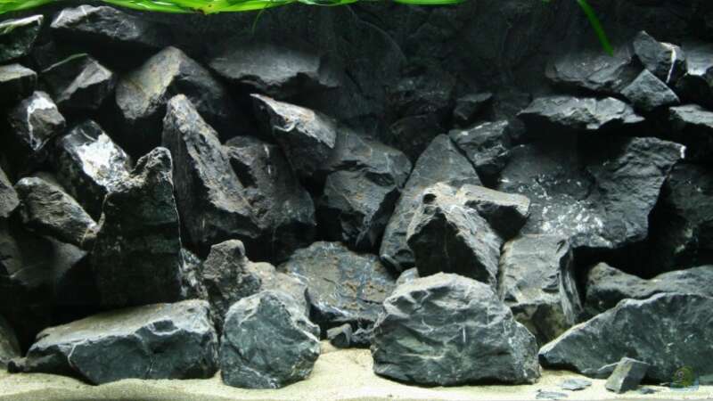 Dekoration im Aquarium Stoneheaven von Manfred B. (5)