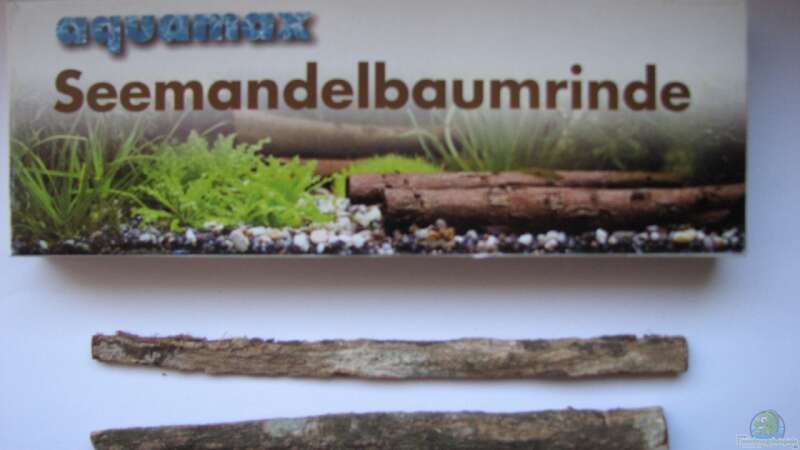 Seemandelbaumrinde von Bämbel (37)