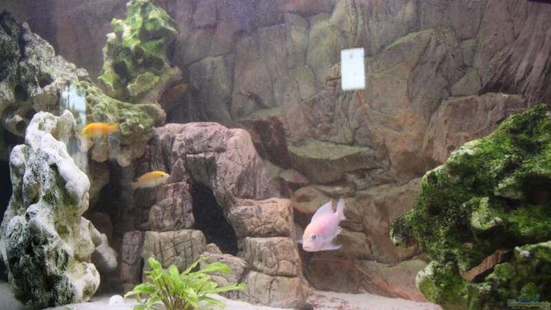 Aquarium finkys hood von finky (3)