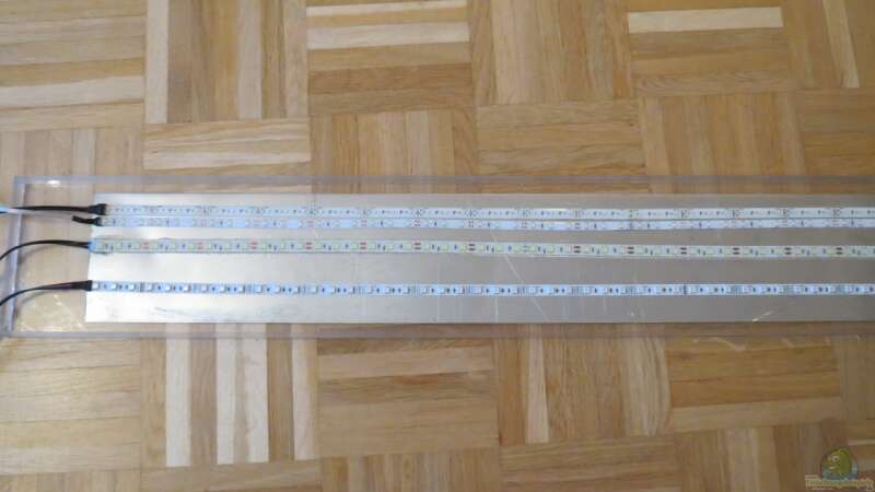 Die LED Stripes auf dem Alublech von BastiB (30)