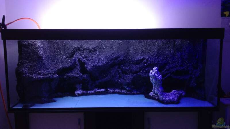 Aquarium Vulcano Reef von Thomas Schneider (5)